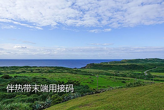 能发短信的接码平台啊