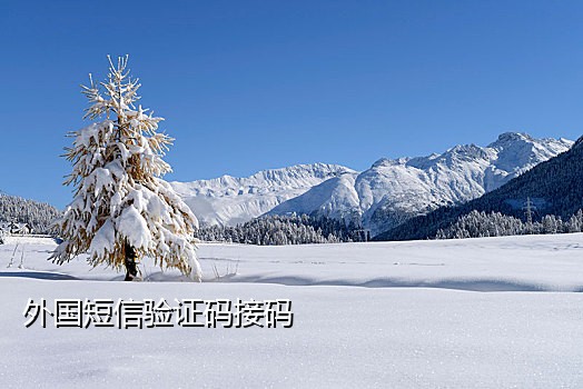 那个接码平台可以注册微信