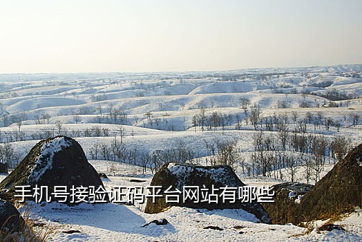 那个接码平台可以接支付宝