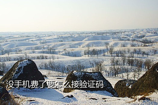 哪里有陌陌接码平台