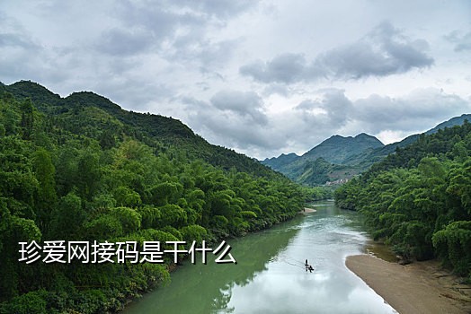 哪个平台接短信验证码好用