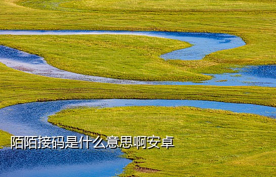 陌陌实卡接码平台