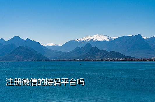 免费提供短信接码