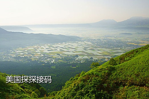 免费接码手机版下载