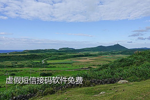 免费的短信接码平台