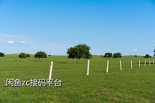 米粒接码手机版下载