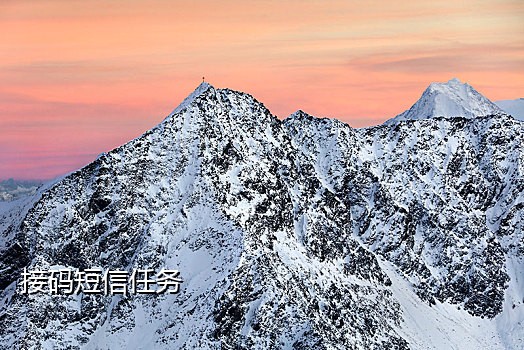 美亚手机号接码