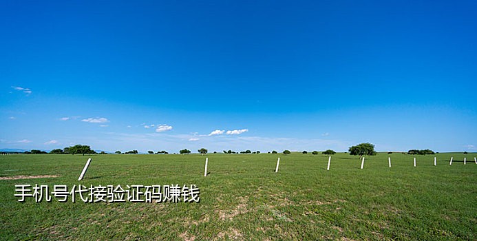美团注册语音接码 赚客
