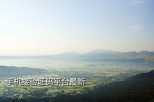 麦子手机接码平台