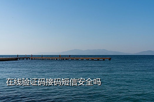 联通手机号接验证码延迟