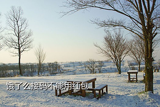 来信短信接码平台