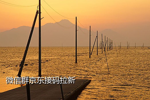 怎么接多个手机卡的验证码