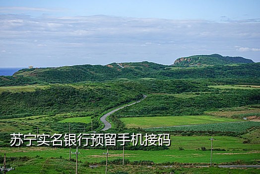 怎么接短信验证码