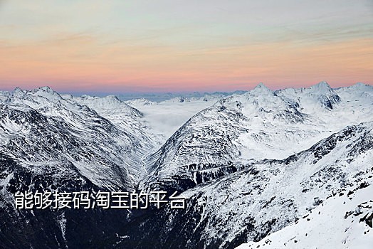 快手极速版接码app