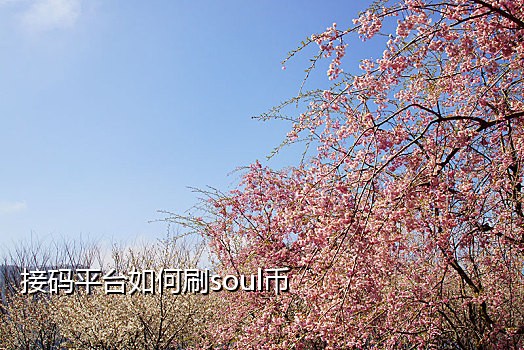 可以淘宝注册的接码平台