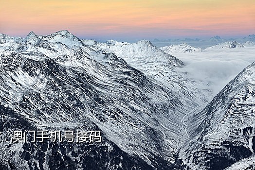 京东接码服务在哪里