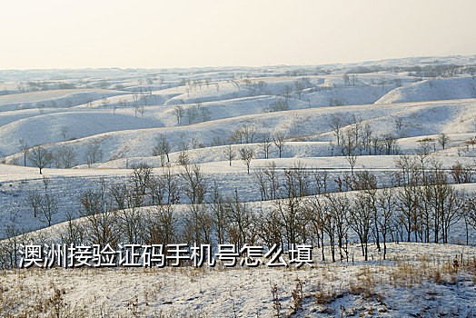 接验证码平台微信