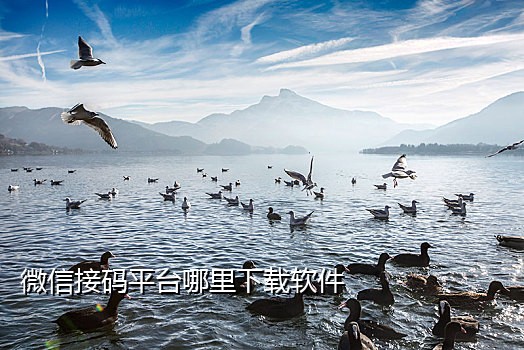 接美国短信验证码