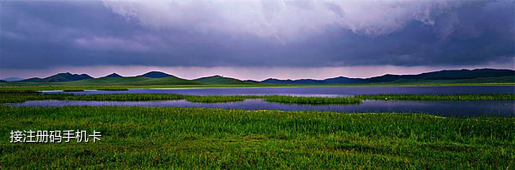 接码在线发短信怎么发不了