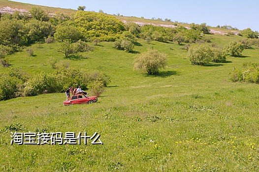 接码手机有什么用