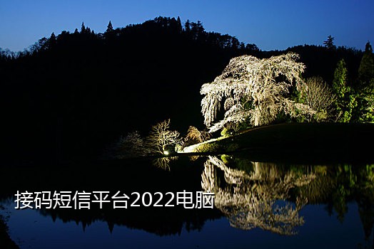 接码手机干什么用的