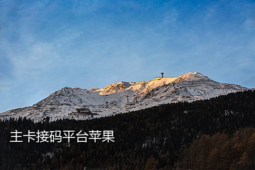 接码软件苹果app
