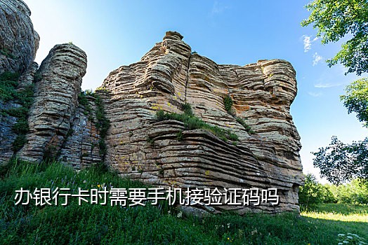 接码平台租手机号