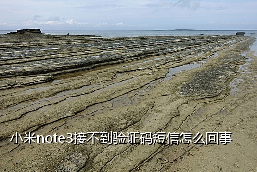 接码平台怎样登录微信支付