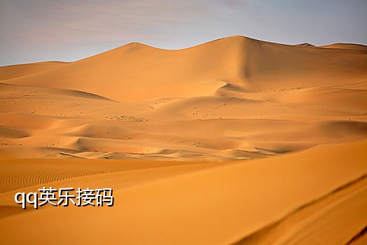 接码平台怎么发短信