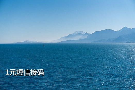 接码平台新浪微博激活