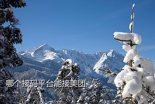 接码平台手机号注册