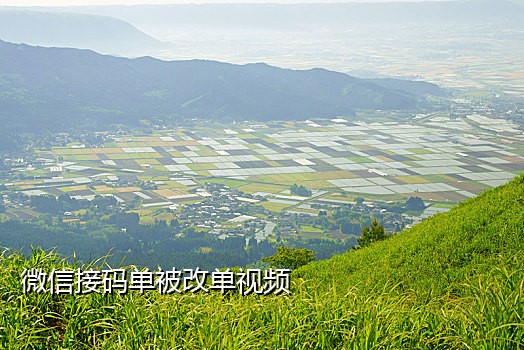 接码平台抖音验证码错误