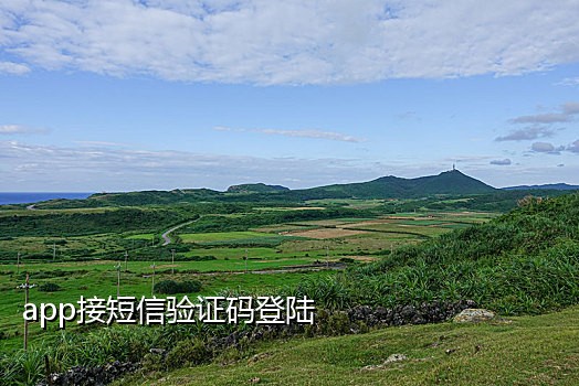 接码短信平台原理