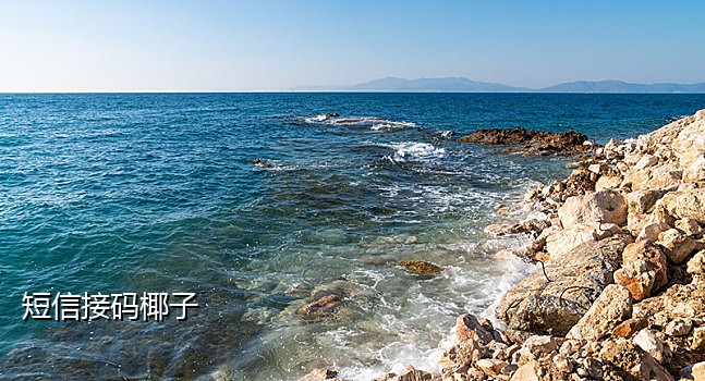 接码短信平台有免费使用