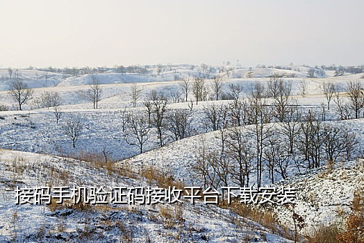 接码短信平台什么意思啊