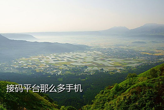 接短信验证码的网站