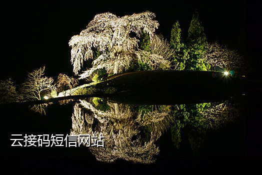 接qq的验证码