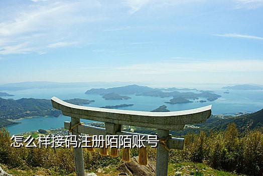 国外微信注册短信接码软件