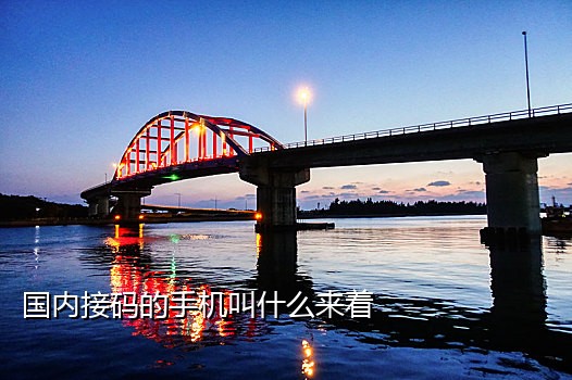 国内免费手机接码网站