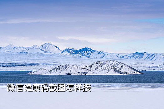 固定手机号码接码