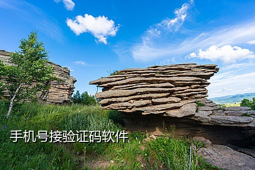 短信在线接验证码平台对接