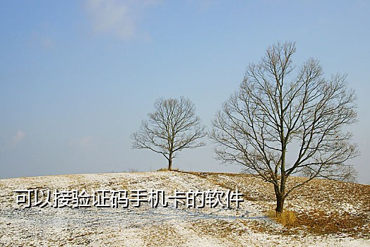 短信验证在线接码