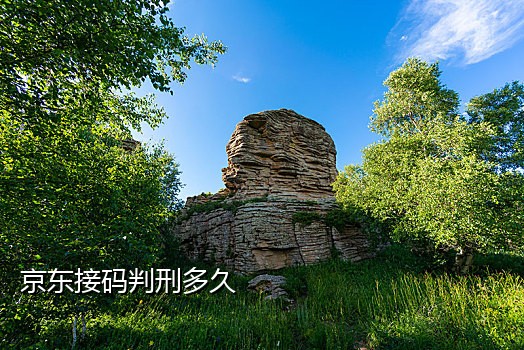 有没有抖音接码平台