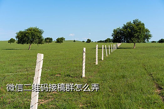 短信免费接码平台