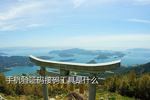 短信接收平台接码