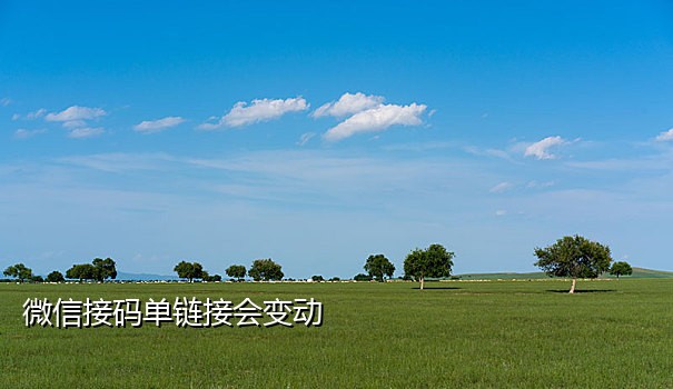 短信接码网址大全