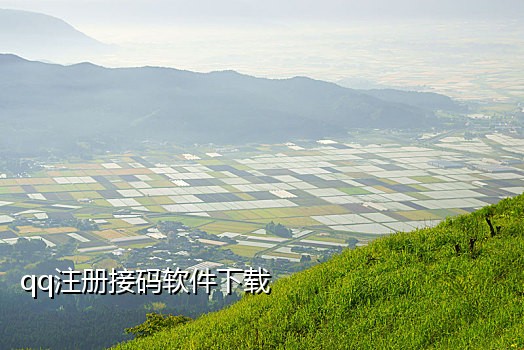 短信接码获利违法吗知乎