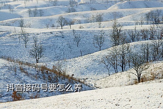 短信接码官方网站