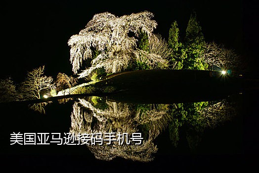 短信接码电脑版下载