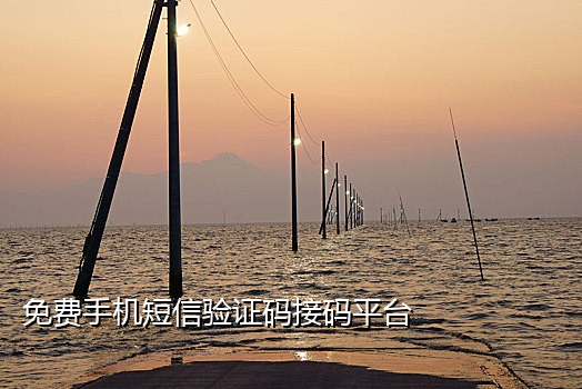 亚马逊电话接码流程